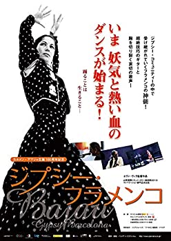 【中古】ジプシー・フラメンコ [DVD]
