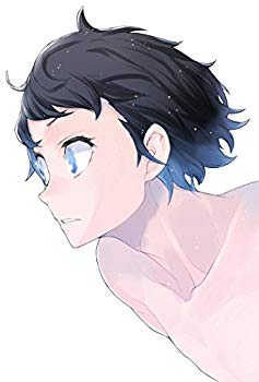 【中古】【非常に良い】DIVE!! DVD BOX(完全生産限定版) n5ksbvb 36,275円