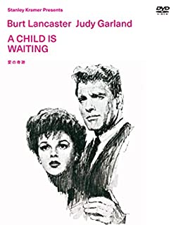 【中古】【非常に良い】愛の奇跡 ジョン・カサヴェテス監督 DVD