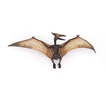 【中古】【非常に良い】Papo(パポ) プテラノドン PVC PA55006 bme6fzu