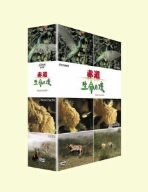 【中古】【非常に良い】赤道 生命の環 BOX II [DVD]