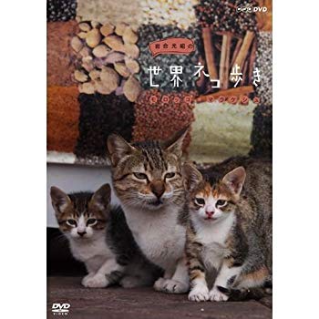 【中古】岩合光昭の世界ネコ歩き　モロッコ・マラケシュ　DVD【NHKスクエア限定商品】 rdzdsi3
