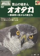【中古】オオタカ 那須野ヶ原からの旅立ち 《DVDネイチャーシリーズ 野生の王国》 [DVD]