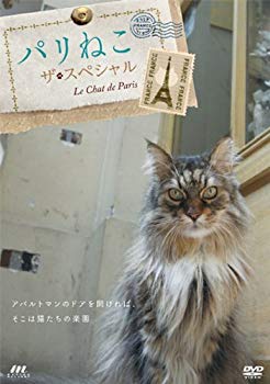 【中古】パリねこ ザ・スペシャル [DVD] khxv5rg