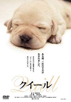 【中古】クイール [DVD] bme6fzu