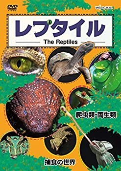【中古】【非常に良い】レプタイルDVD ~爬虫類・両生類/捕食の世界