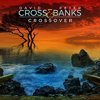【中古】【非常に良い】Crossover [CD]｜ドリエム店