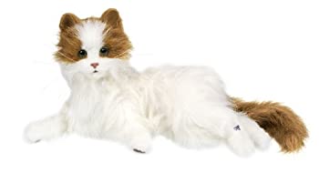【中古】【非常に良い】夢ねこ ヴィーナス 16,164円