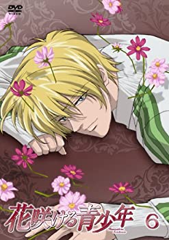【中古】花咲ける青少年VOL.6 [DVD]｜ドリエム店