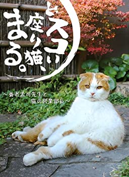 【中古】どスコい座り猫、まる。～養老孟司先生と猫の営業部長 [DVD]｜ドリエム店