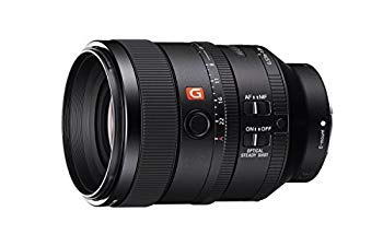 【中古】【人並み外れたに好いたらしい】ソニー SONY 単興味の中心水晶体 FE 100粍 F2.8 STF GM OSS Eマウント35粍フルサイズ相応う SEL100F28GM dwos6rj