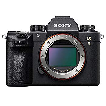 【中古】【人並み外れたに似つかわしい】ソニー SONY フルサイズミラーレス一眼 α9 上半身 ILCE-9 n5ksbvb