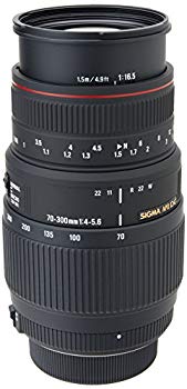 【中古】【非常に良い】SIGMA 望遠ズームレンズ APO 70-300mm F4-5.6 DG MACRO ニコン用 フルサイズ対応 508555|ドリエム店