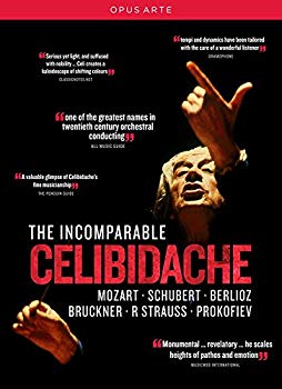 【中古】【非常に良い】Incomparable Celibidache/ [DVD]｜ドリエム店