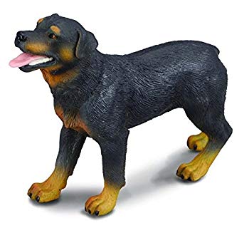 【中古】CollectA Rottweiler Figure 6g7v4d0