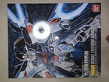 【中古】【非常に良い】MG 1/100 ストライクフリーダムガンダム メカニックデザイナー 大河原邦男展Ver. プラモデル(メカニックデザイナー 大河原邦男展限定) w17b8b5