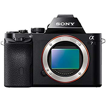 【中古】ソニー SONY 鏡鑑受け答え一眼 α7 上半身 ILCE-7
