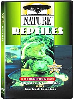 【中古】Retilesalligator [DVD]｜ドリエム店