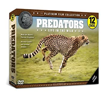 【中古】【非常に良い】Predators Life in the Wild [DVD]