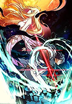 【中古】【非常に良い】Dies irae ~Amantes amentes~HD -Animation Anniversary-(E-15指定) n5ksbvb画像