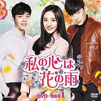 【中古】私の心は花の雨DVD-BOX1(14枚組)|ドリエム店