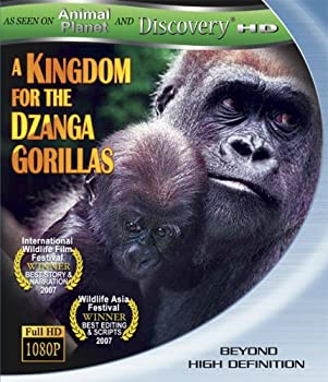 【中古】【非常に良い】Kingdom for the Dzanga Gorillas [Blu-ray]｜ドリエム店