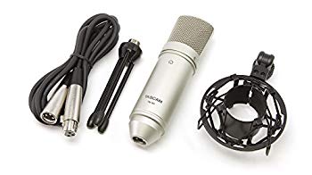 【中古】【非常に良い】TASCAM コンデンサーマイクロホン TM-80 ggw725x