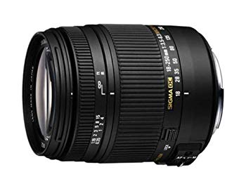 【中古】【非常に良い】シグマ 18-250mm F3.5-6.3 DC OS HSM SO ソニー用 2mvetro