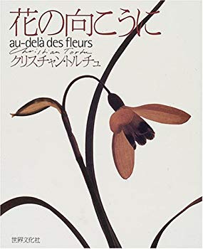 【中古】花の向こうに p706p5g