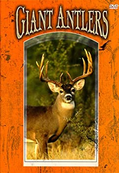 【中古】【非常に良い】Giant Antlers [DVD]