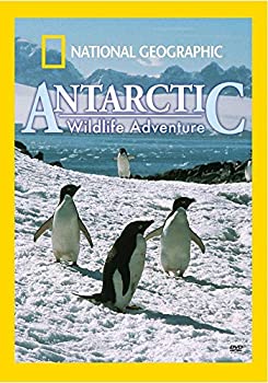 【中古】National Geographic: Antarctic Wildlife Adventure [DVD]