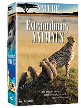 【中古】Nature: Extraordinary Animals [DVD]｜ドリエム店