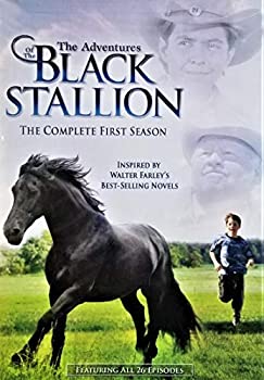 【中古】【非常に良い】Adventures of Black Stallion: First Season [DVD]｜ドリエム店