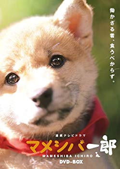 【中古】【非常に良い】連続テレビドラマ マメシバ一郎 DVD-BOX tf8su2k
