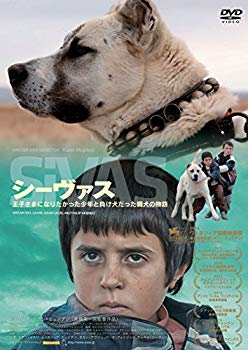 【中古】【非常に良い】シーヴァス SiVAS [DVD] ggw725x