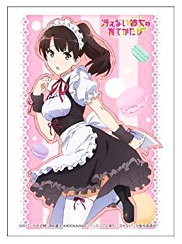 【中古】【非常に良い】ブシロードスリーブコレクション ハイグレード Vol.1325 冴えない彼女の育て方♭『加藤恵』Part.4 n5ksbvb