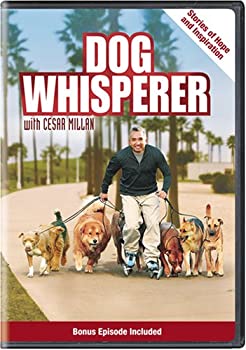 【中古】【非常に良い】Dog Whisperer: Stories of Hope & Inspiration [DVD]