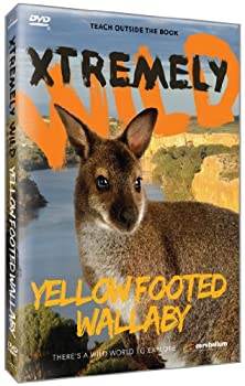 【中古】Yellow Footed Wallaby [DVD]