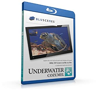 【中古】【非常に良い】Underwater Cozumel [Blu-ray]