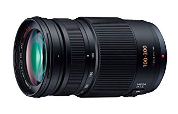 【中古】【非常に良い】パナソニック 望遠ズームレンズ マイクロフォーサーズ用 ルミックス G VARIO 100-300mm/F4.0-5.6 /MEGA O.I.S. H-FS100300 wgteh8f