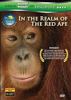 【中古】Wild Asia: In the Realm of the Red Ape [DVD]｜ドリエム店