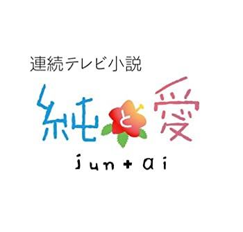 【中古】【非常に良い】連続テレビ小説 純と愛 総集編 [DVD]｜ドリエム店