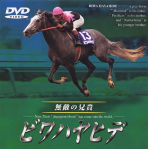 【中古】【非常に良い】ビワハヤヒデ 無敵の兄貴 [DVD] p706p5g