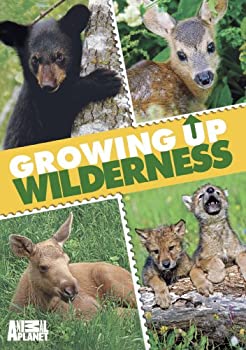 【中古】【非常に良い】Growing Up Wilderness [DVD]｜ドリエム店