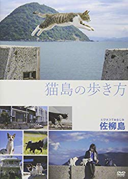 【中古】【非常に良い】猫島の歩き方 ~佐柳島~ [DVD] mxn26g8