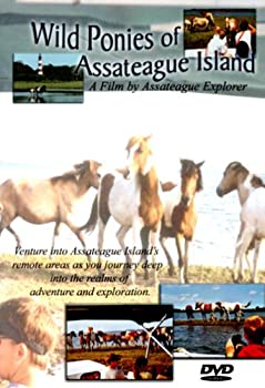 【中古】【非常に良い】Wild Ponies of Assateague Island [DVD] [Import]