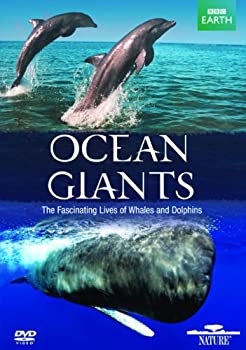 【中古】【非常に良い】Ocean Giants [DVD]