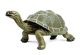 【中古】サファリ レプリカ ガラパゴスゾウガメ(親) bme6fzu