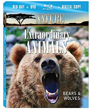 【中古】【非常に良い】Nature: Extraordinary Animals: Bears & Wolves [Blu-ray]｜ドリエム店