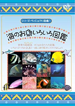 【中古】海のお魚いろいろ図鑑 [DVD] g6bh9ry